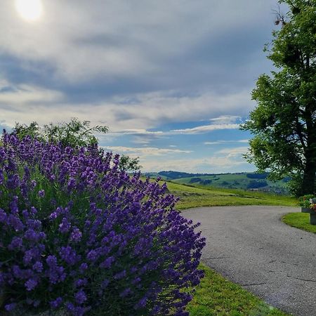 Unterbrandlberg Διαμέρισμα Steinbach an der Steyr Εξωτερικό φωτογραφία
