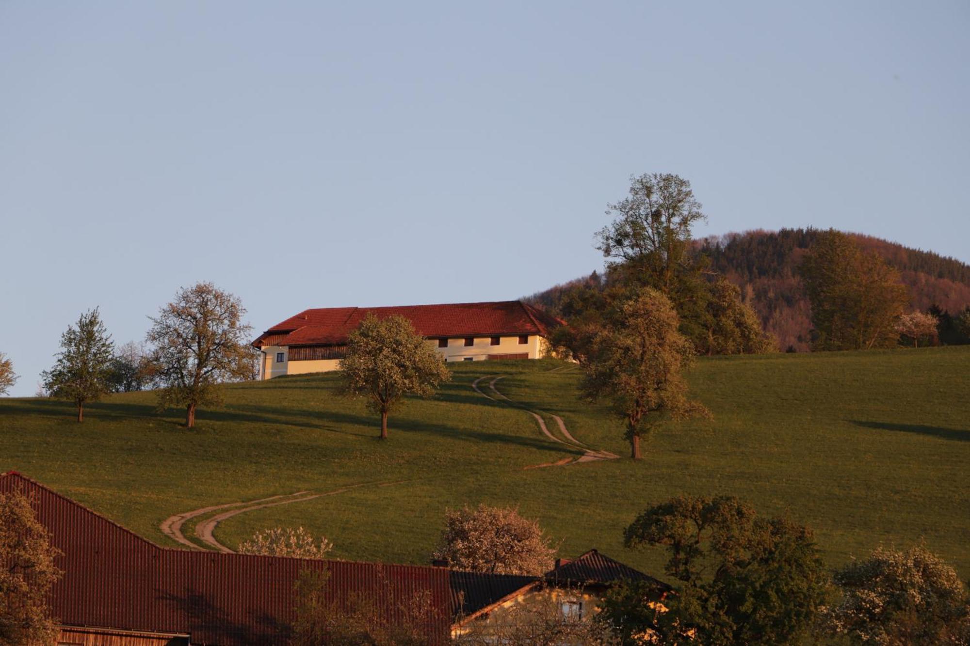Unterbrandlberg Διαμέρισμα Steinbach an der Steyr Εξωτερικό φωτογραφία