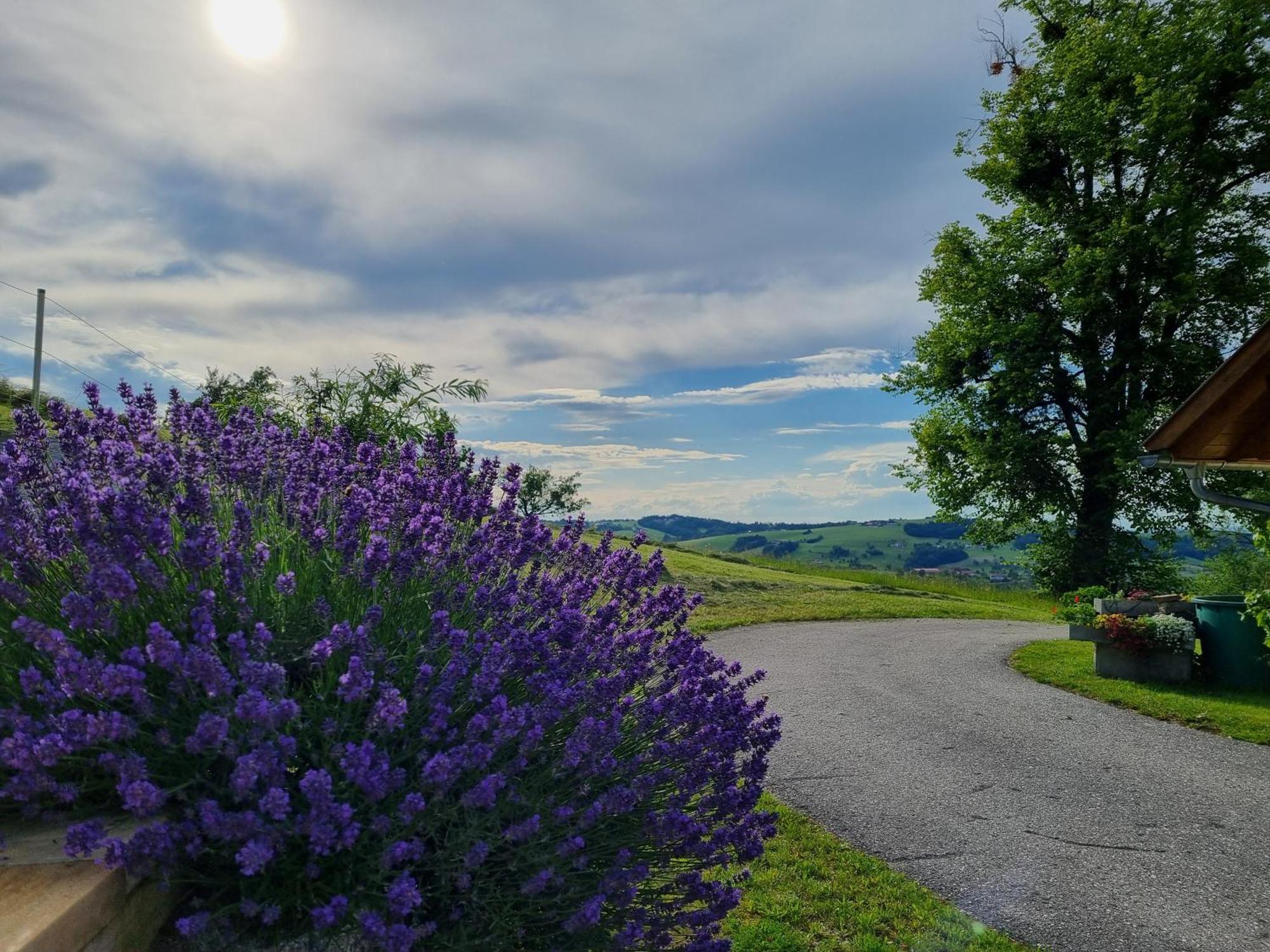 Unterbrandlberg Διαμέρισμα Steinbach an der Steyr Εξωτερικό φωτογραφία